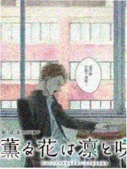 单身公寓观察 观察类综艺在线看
